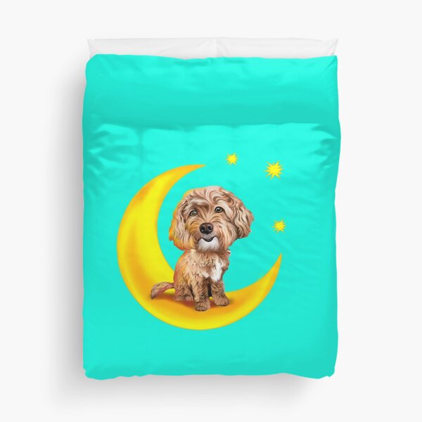 Detail Cavapoo Wurfplanung Nomer 7