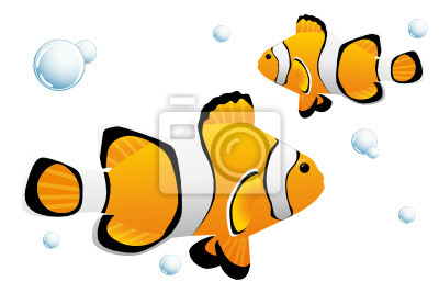 Detail Goldfisch Nemo Nomer 6