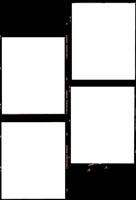 Detail Grid Frame Png Nomer 16