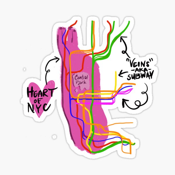 Detail Herz Maus Anatomie Nomer 4