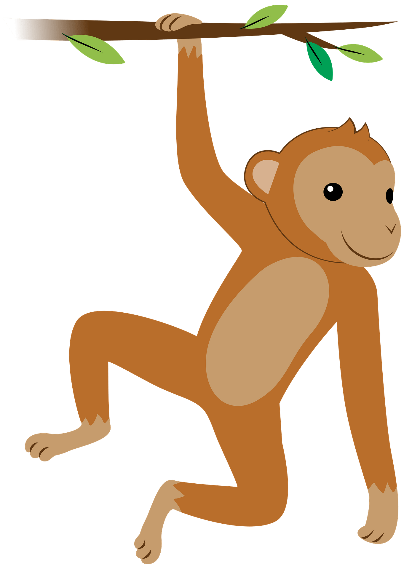 Detail Monkey Png Nomer 22