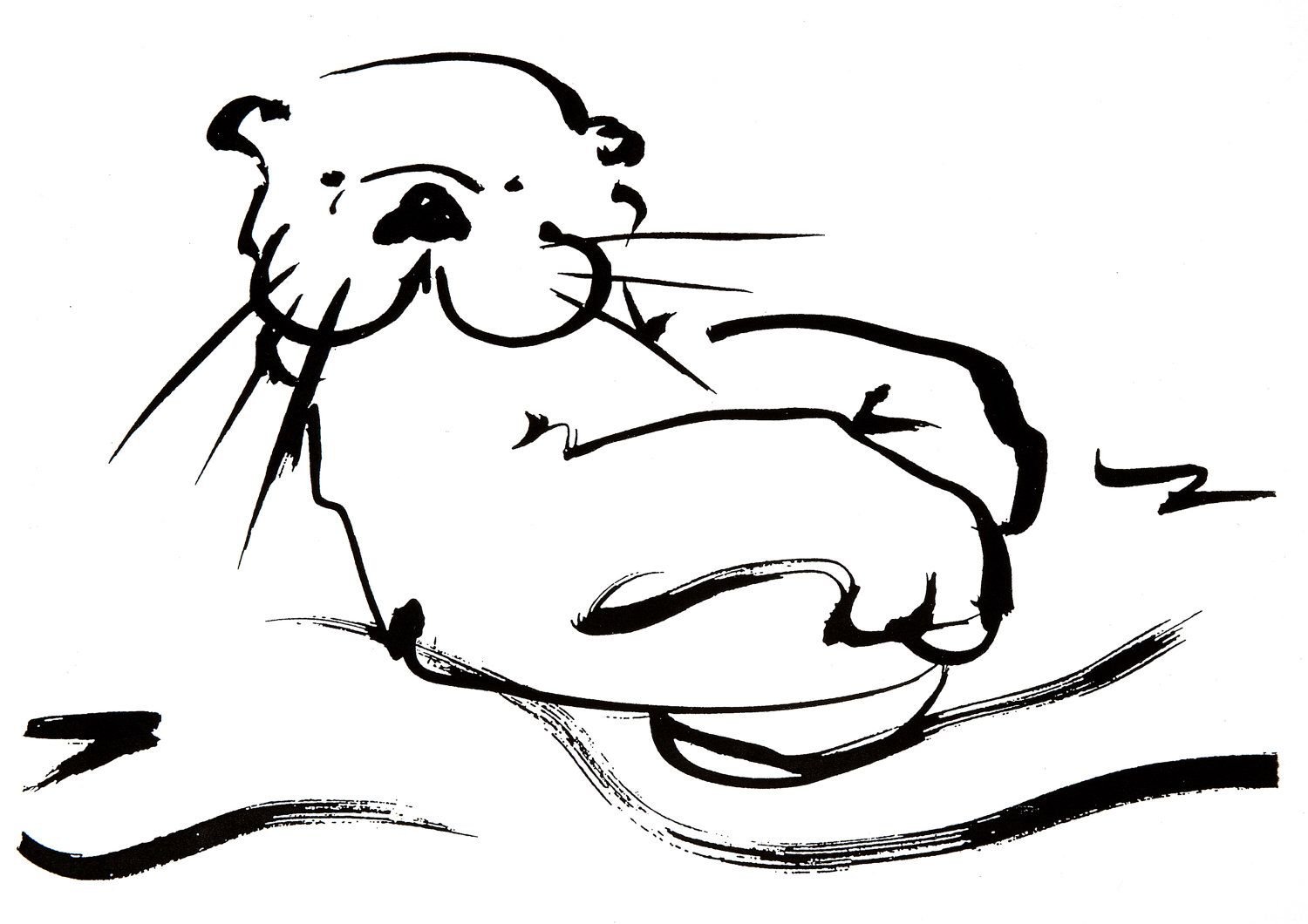 Detail Otter Zeichnen Nomer 17