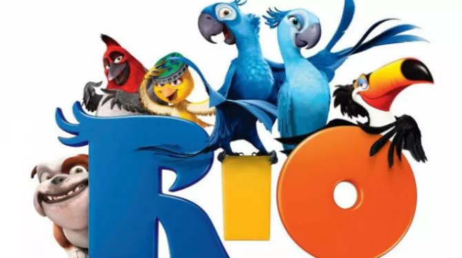 Detail Rio Vogel Nomer 5