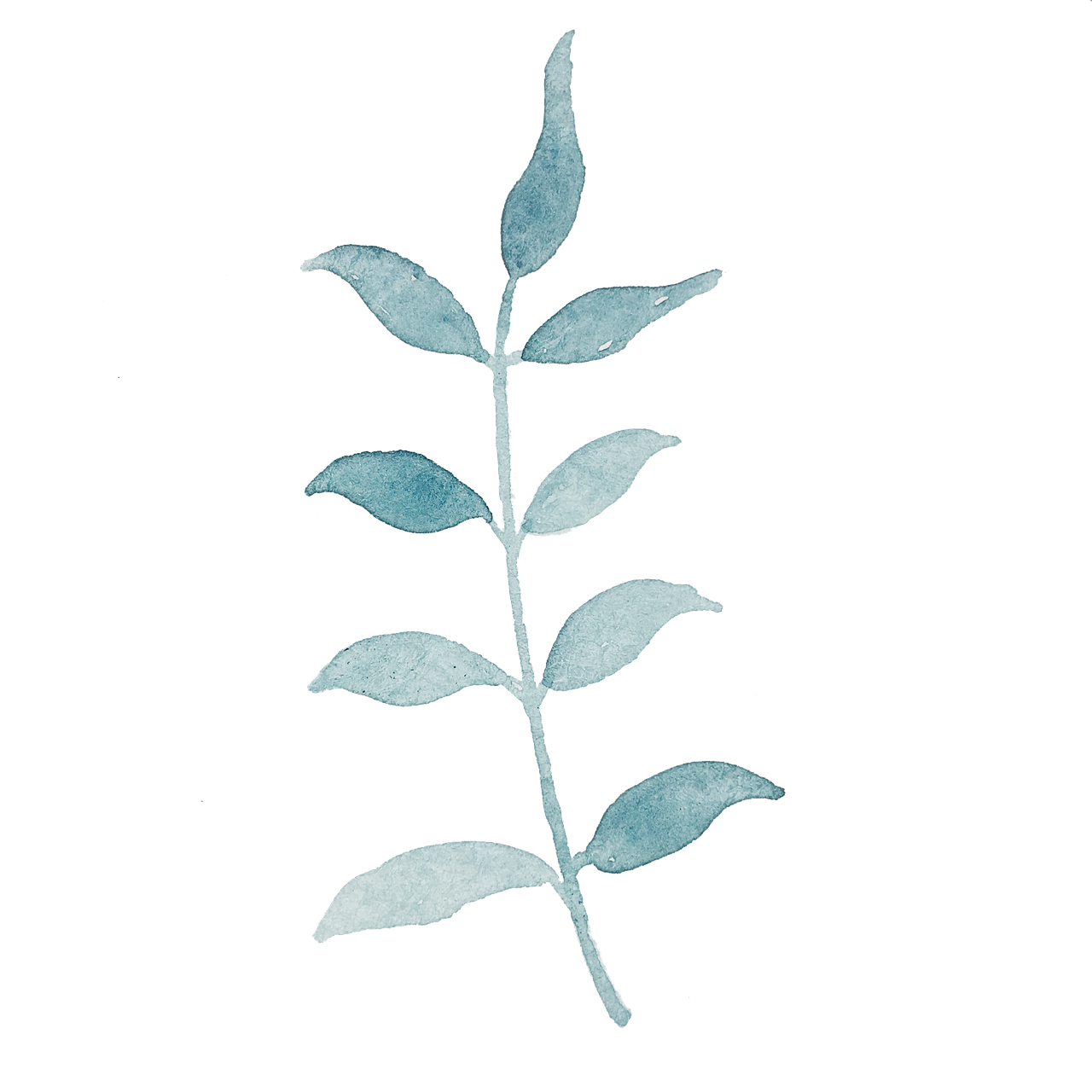 Watercolour Plant Png - KibrisPDR