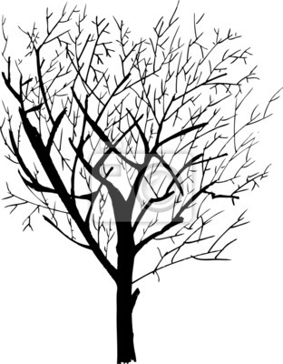 Detail Zeichnen Baum Nomer 16