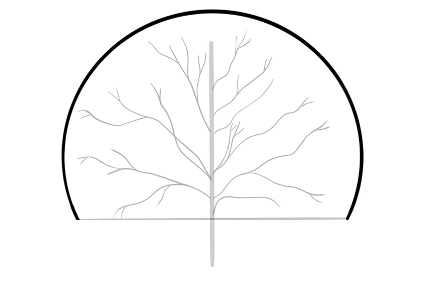 Detail Zeichnen Baum Nomer 8