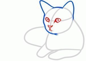 Detail Zeichnen Katze Nomer 11
