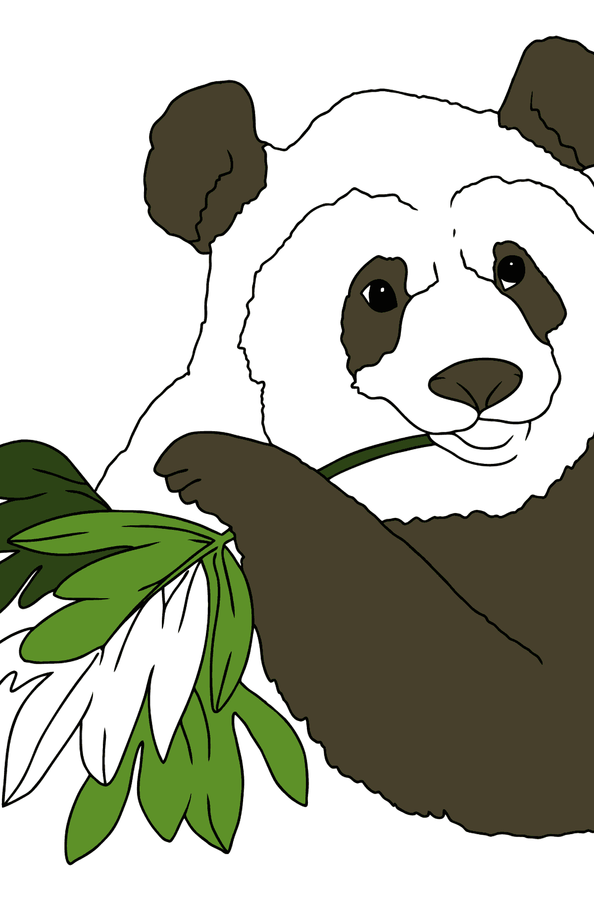 Detail Ausmalbilder Panda Nomer 23