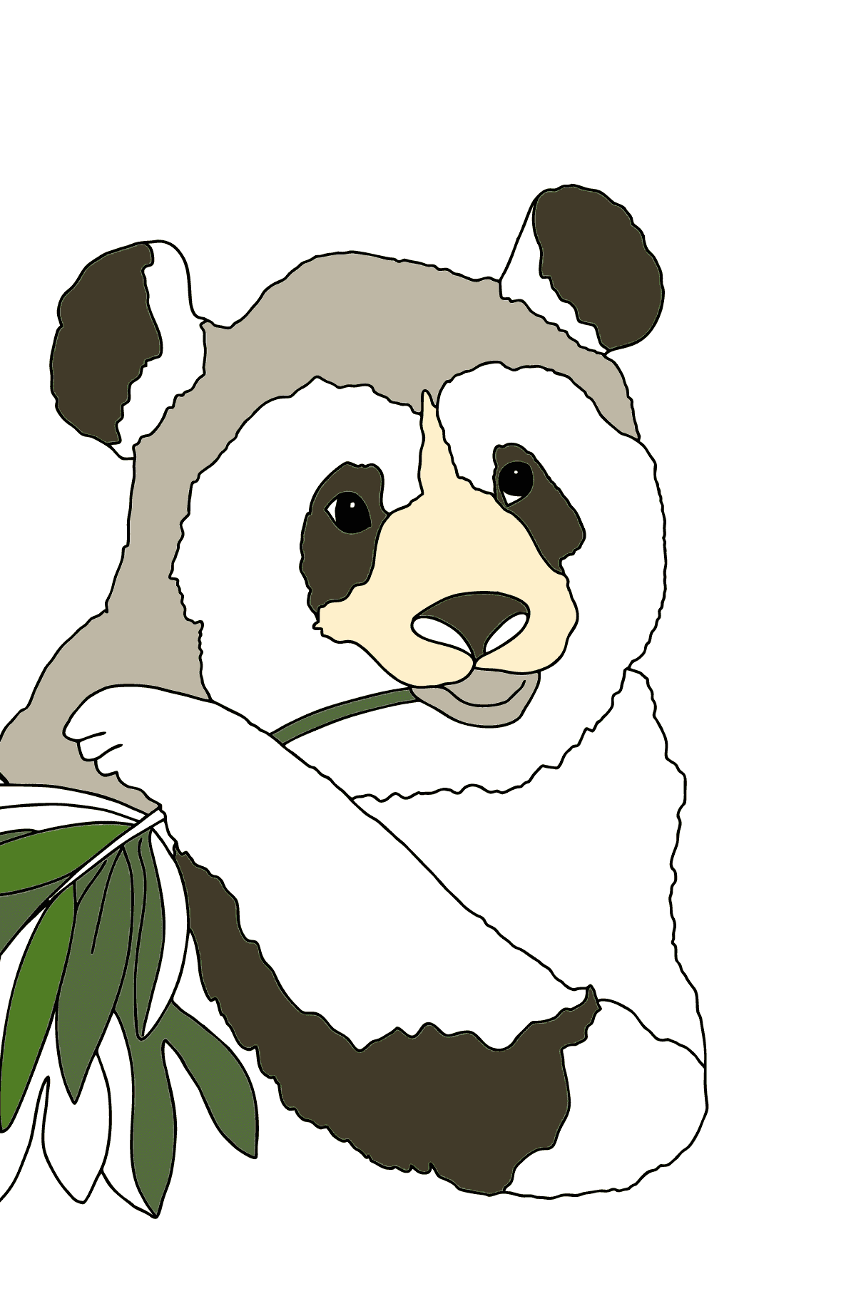Detail Ausmalbilder Panda Nomer 25