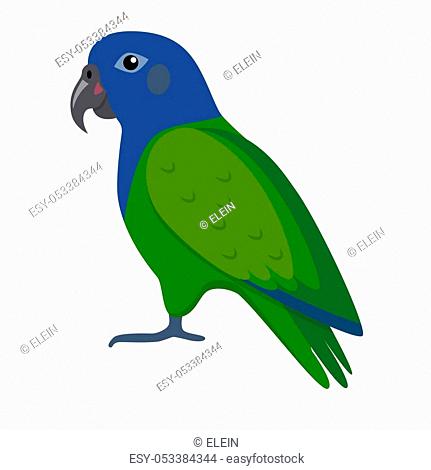 Detail Blue Caique Parrot Nomer 17