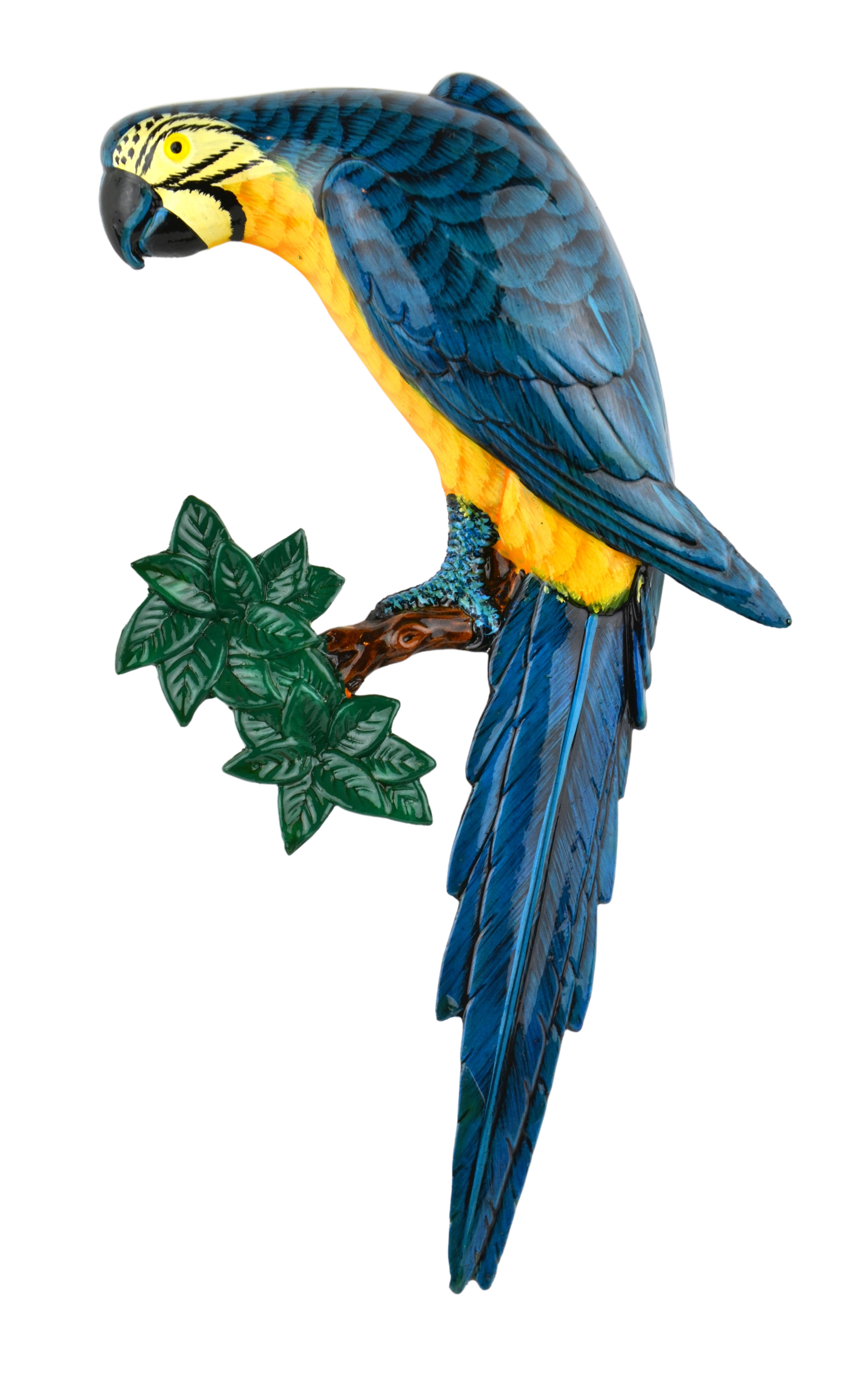 Detail Blue Caique Parrot Nomer 6