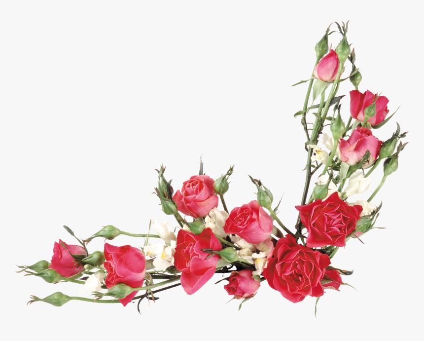 Detail Flowers Png Vector Nomer 37