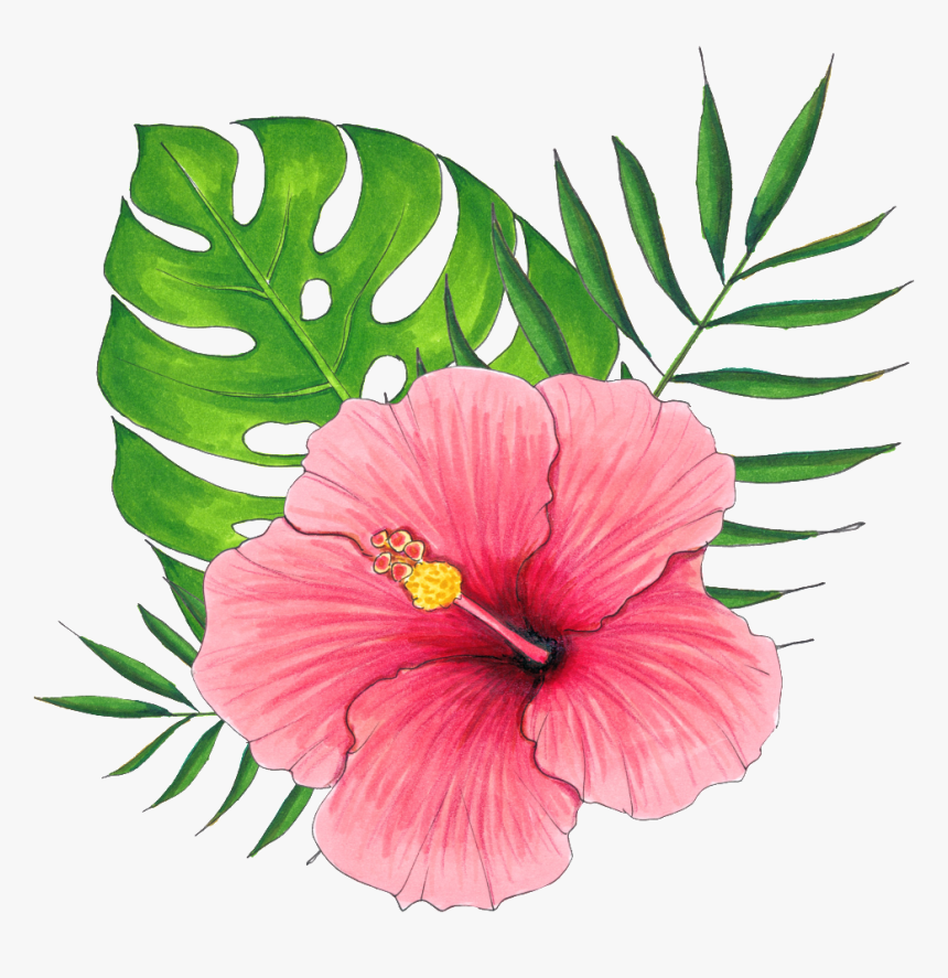 Detail Flowers Transparent Png Nomer 43