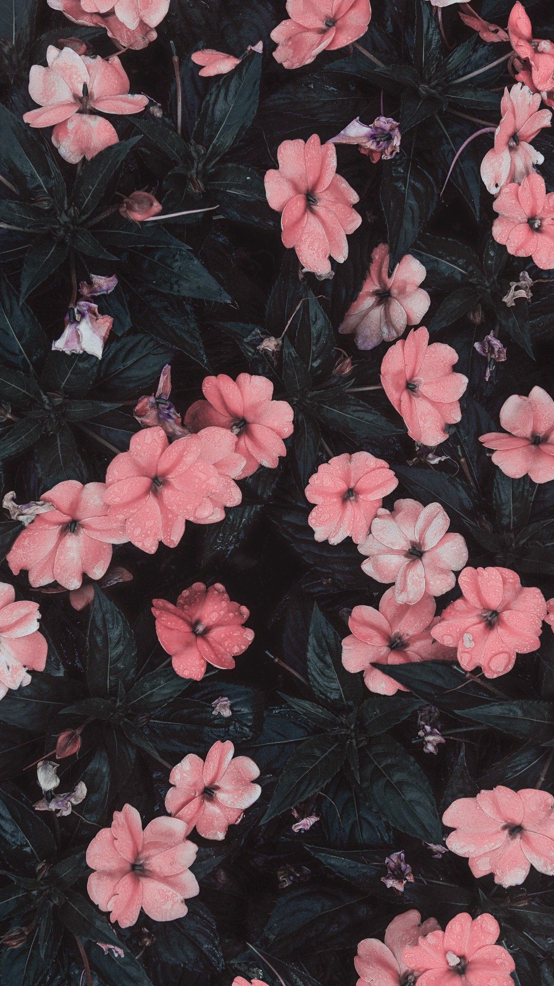 Detail Flowers Tumblr Hd Nomer 13