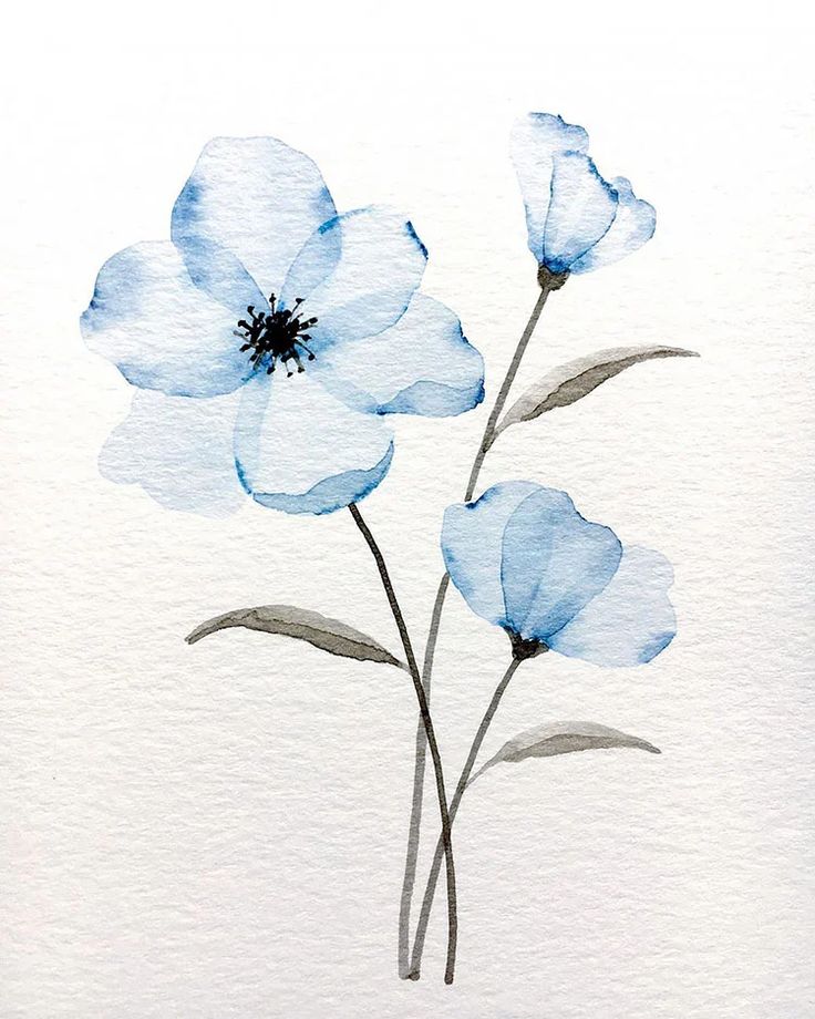 Flowers Watercolor - KibrisPDR