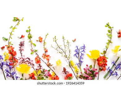 Detail Flowers White Background Nomer 36