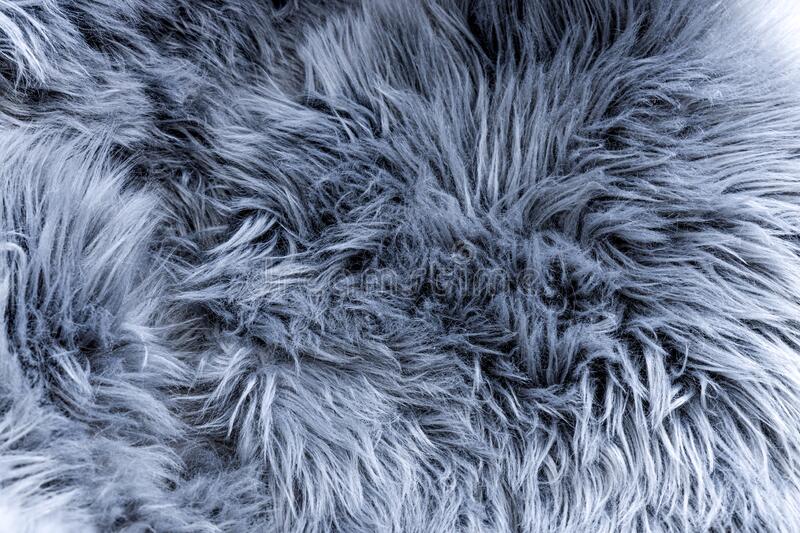 Detail Fluffy Wallpaper Nomer 21