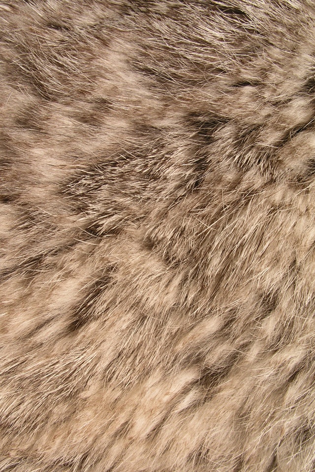 Detail Fluffy Wallpaper Nomer 32