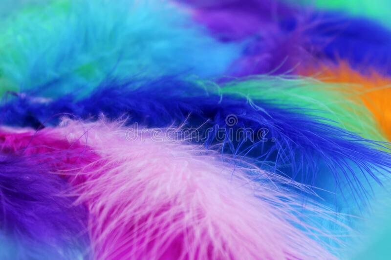 Detail Fluffy Wallpaper Nomer 41