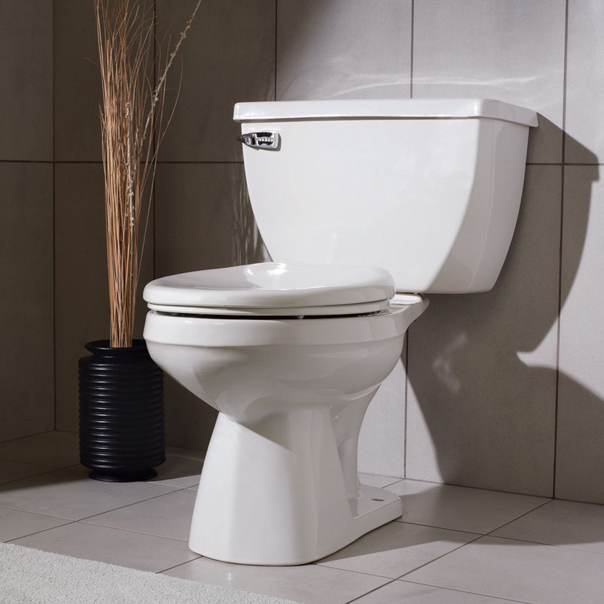Detail Flush Toilet Images Nomer 16