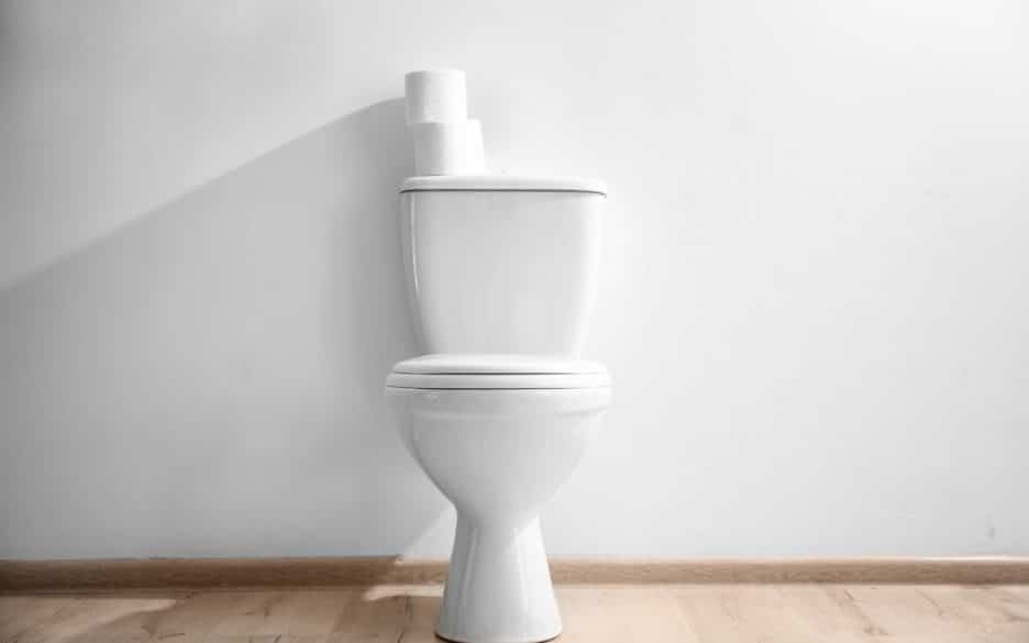 Detail Flush Toilet Images Nomer 26