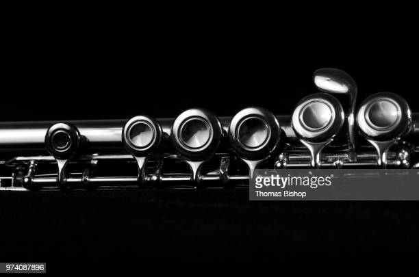 Detail Flute Images Free Nomer 37