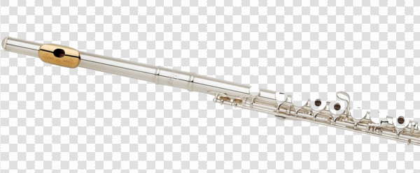 Detail Flute No Background Nomer 11