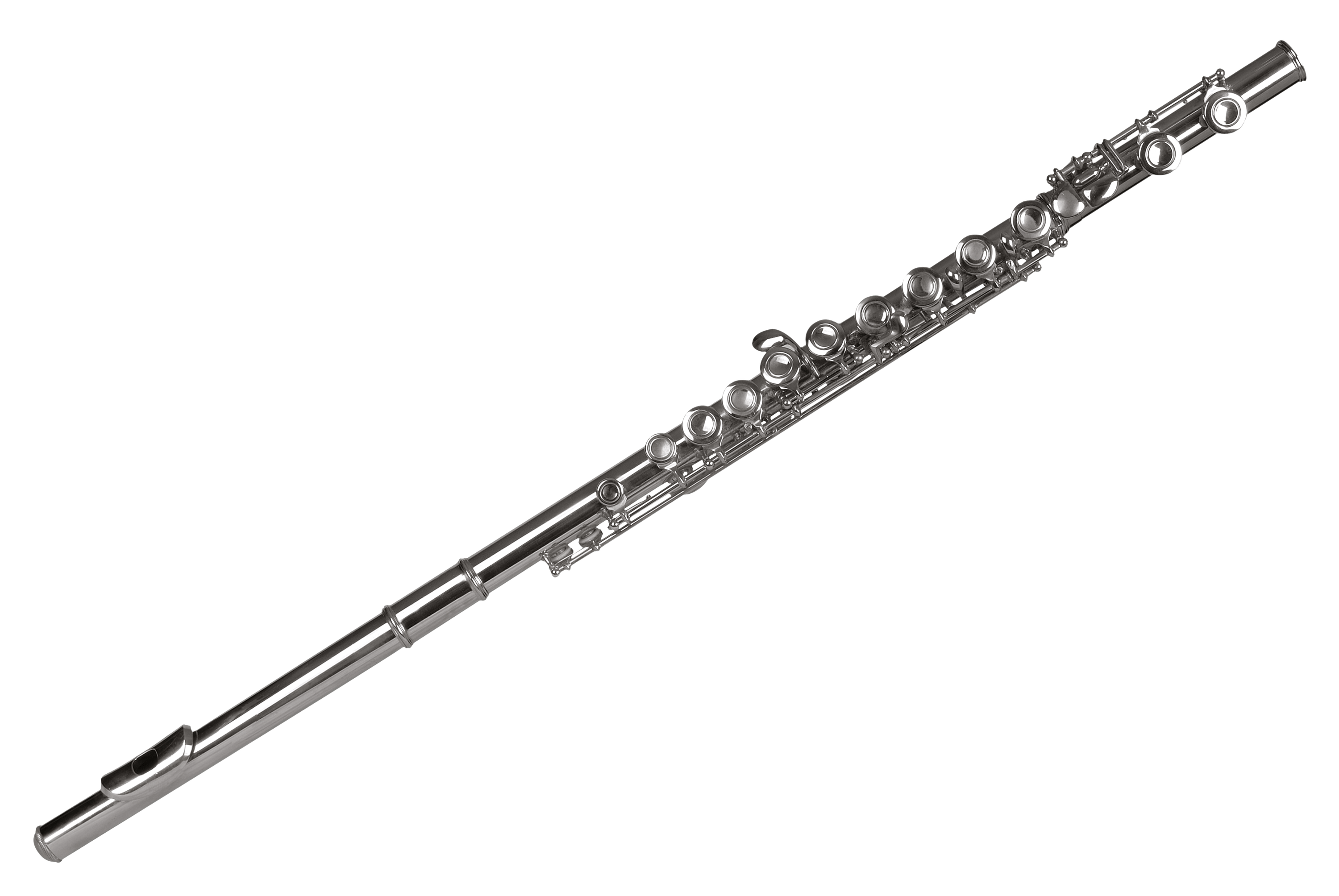 Detail Flute No Background Nomer 2