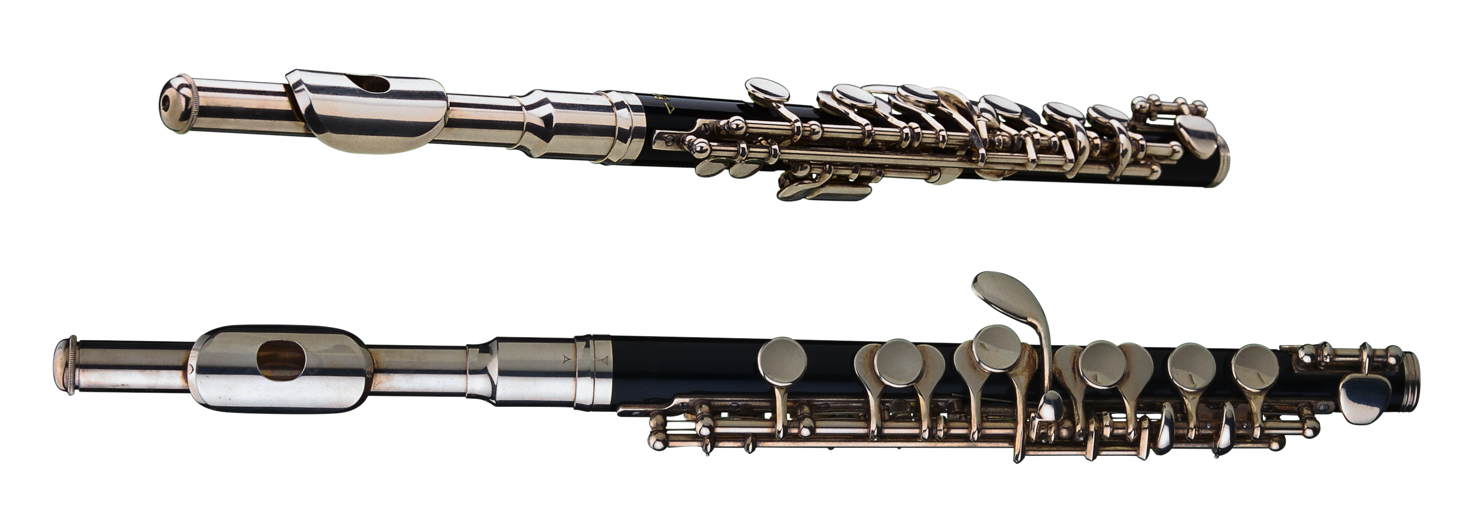 Detail Flute No Background Nomer 29