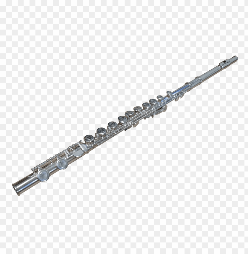 Detail Flute No Background Nomer 7