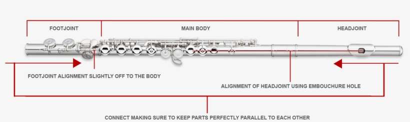 Detail Flute Transparent Nomer 36