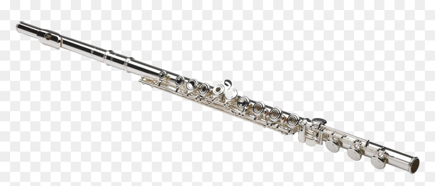 Detail Flute Transparent Nomer 4