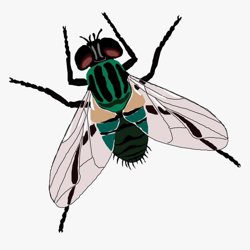 Detail Fly Clipart Nomer 7