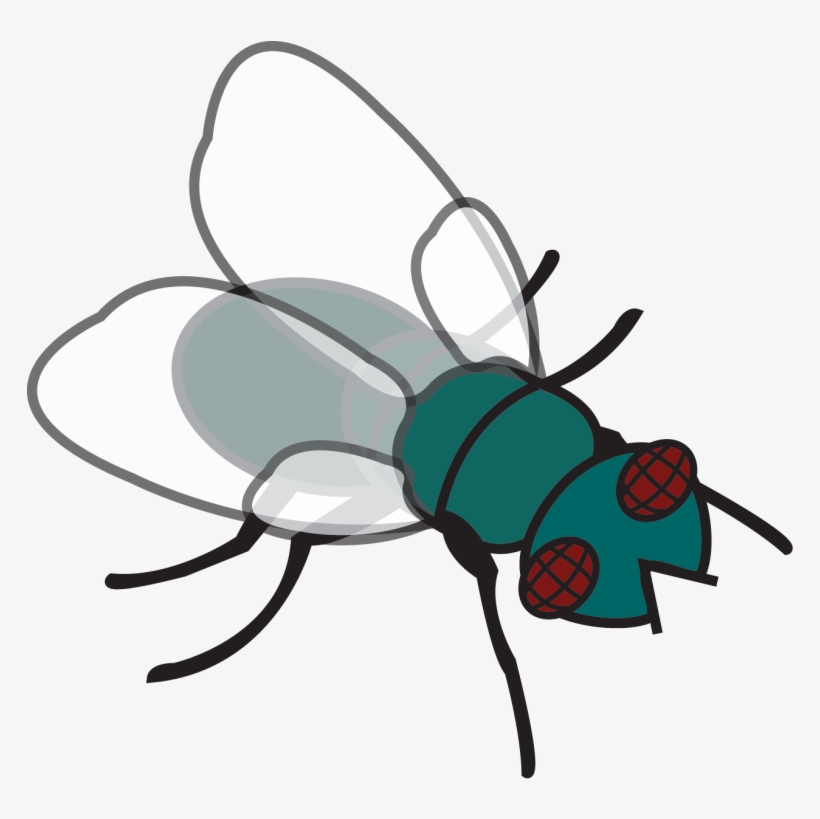 Detail Fly Clipart Nomer 13