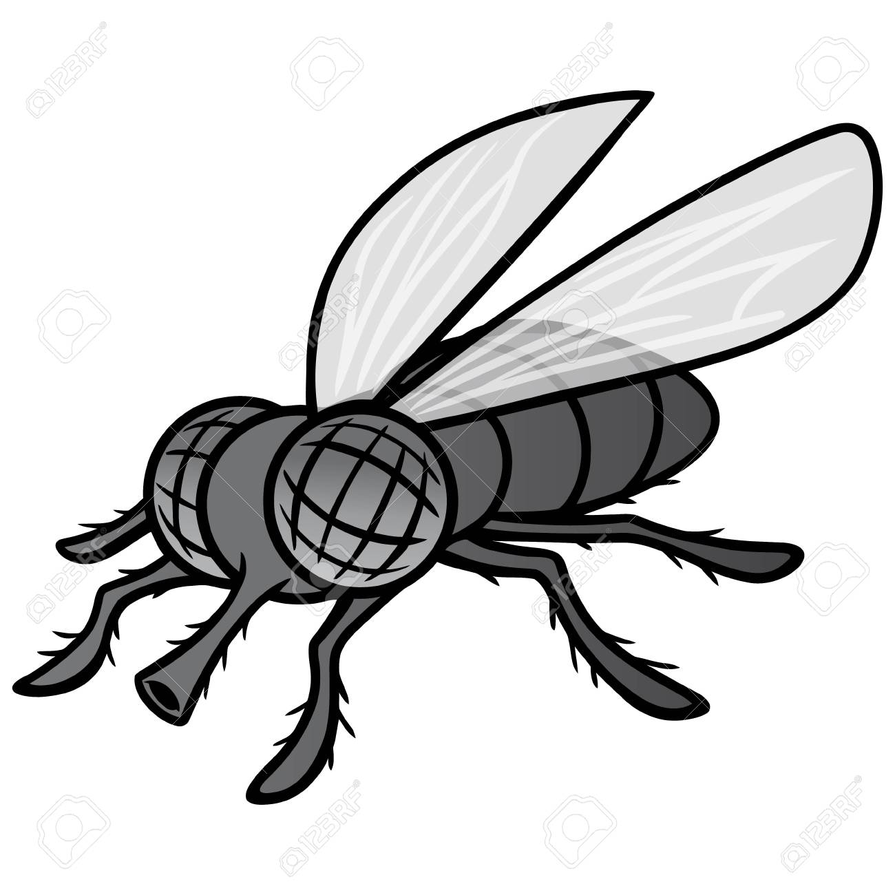 Detail Fly Clipart Black And White Nomer 13