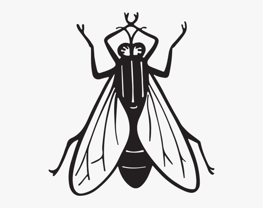 Detail Fly Clipart Black And White Nomer 2