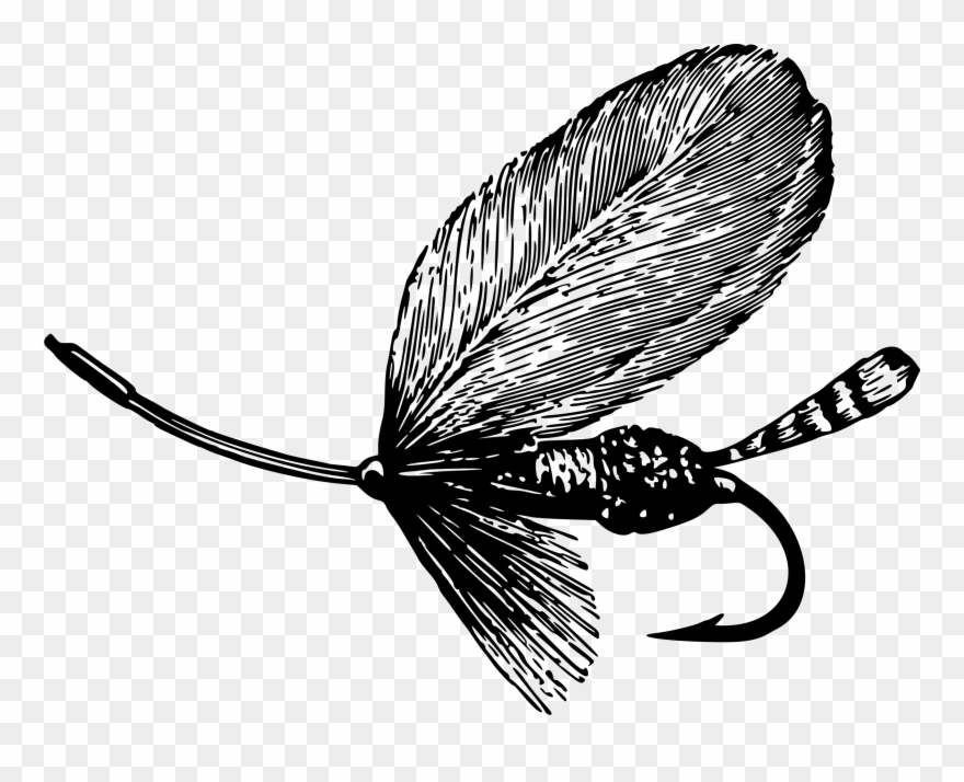 Detail Fly Fishing Images Clipart Nomer 7