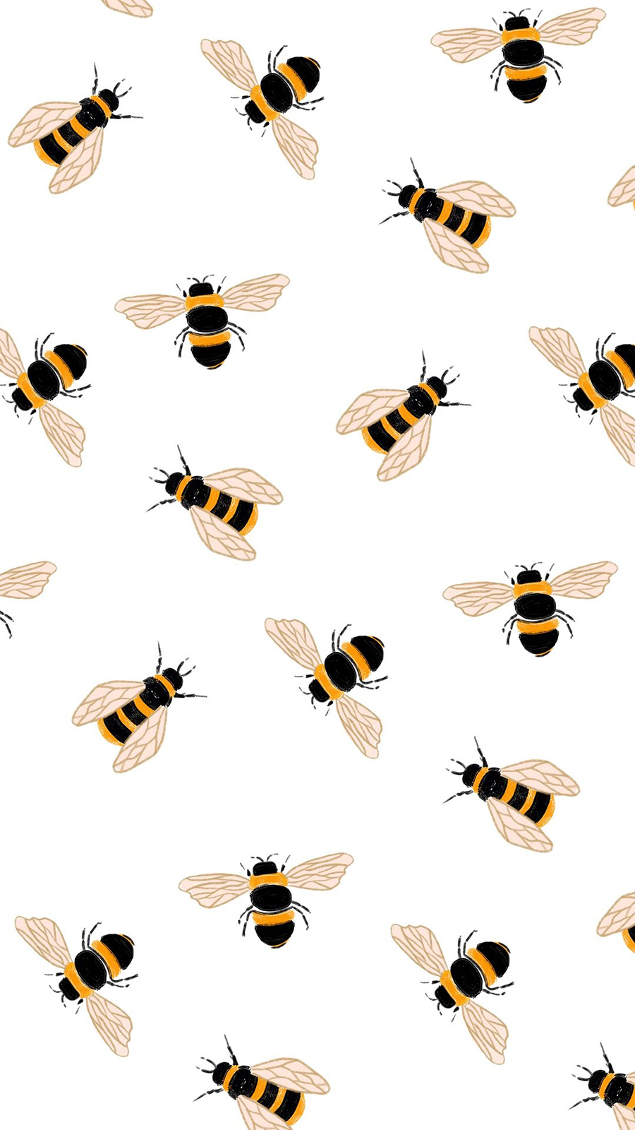Detail Fly Icq Nomer 30