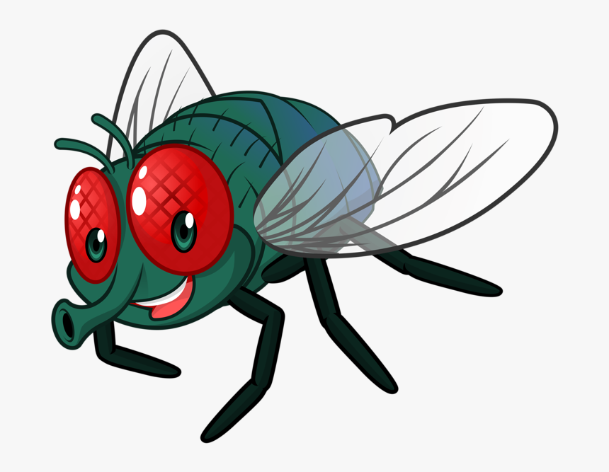 Detail Fly No Background Nomer 23