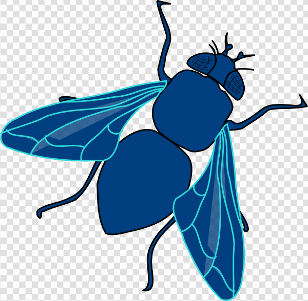 Detail Fly Transparent Background Nomer 30