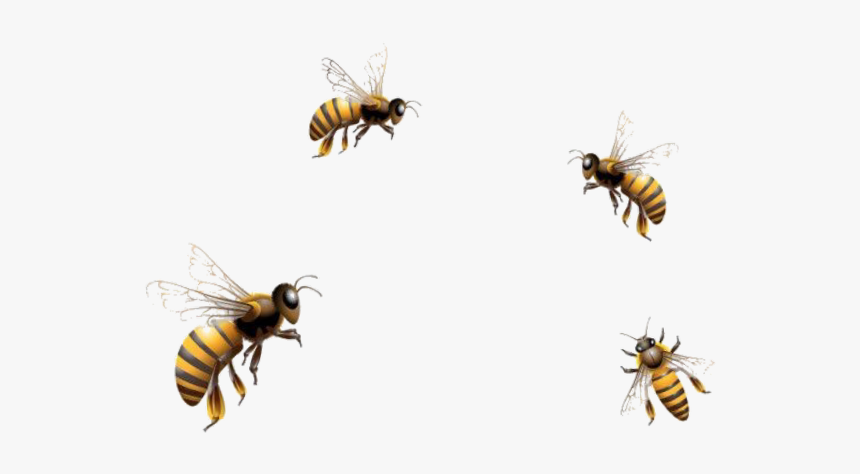 Detail Flying Bee Png Nomer 3