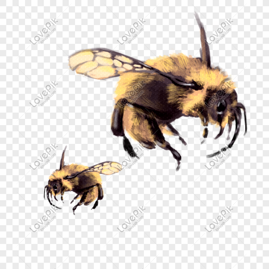 Detail Flying Bee Png Nomer 30