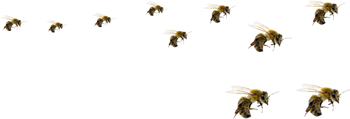 Detail Flying Bee Png Nomer 9