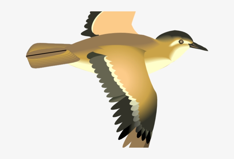 Detail Flying Bird Image Nomer 50