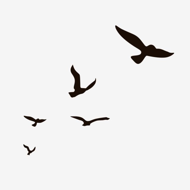 Detail Flying Bird Silhouette Clip Art Nomer 2