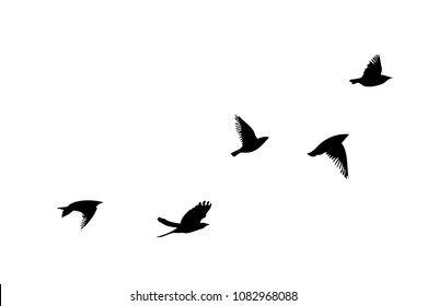 Detail Flying Bird Silhouette Clip Art Nomer 20