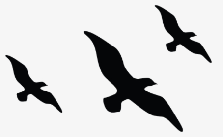 Detail Flying Bird Silhouette Clip Art Nomer 27