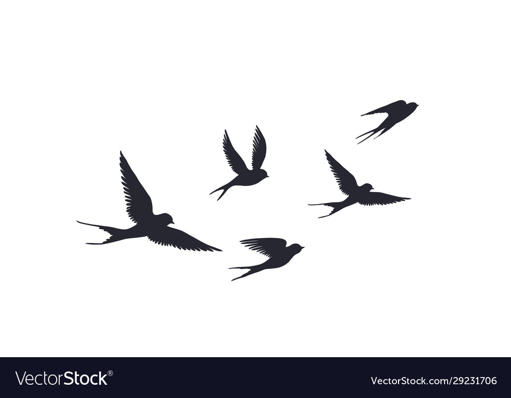 Detail Flying Bird Silhouette Vector Nomer 11