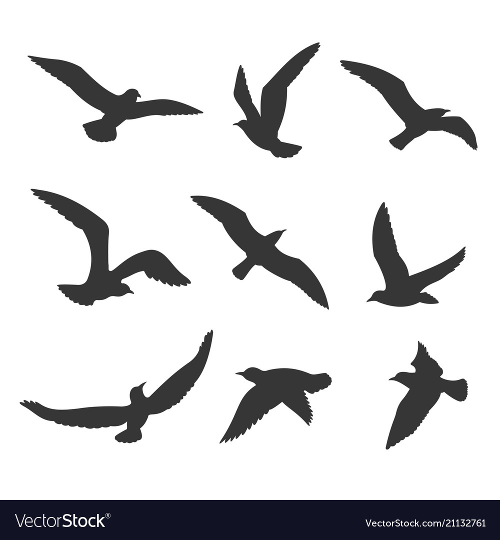 Detail Flying Bird Silhouette Vector Nomer 13