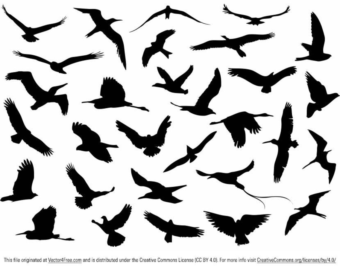 Detail Flying Bird Silhouette Vector Nomer 3